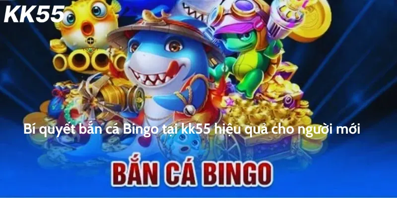 Bí quyết bắn cá Bingo tại kk55 hiệu quả cho người mới